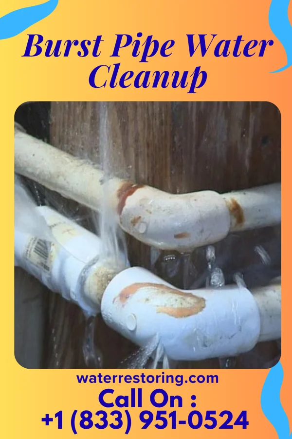Burst Pipe Water Cleanup in Hamlet, IN