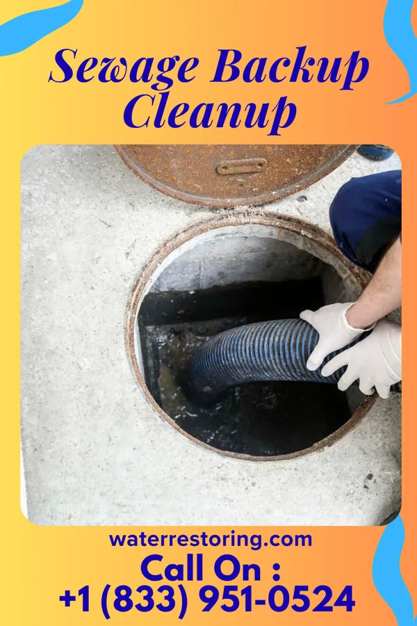 Sewage Backup Cleanup in Hamlet, IN