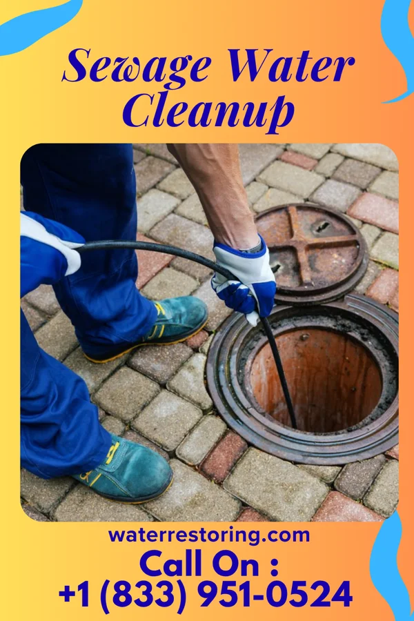 Sewage Water Cleanup in Hamlet, IN