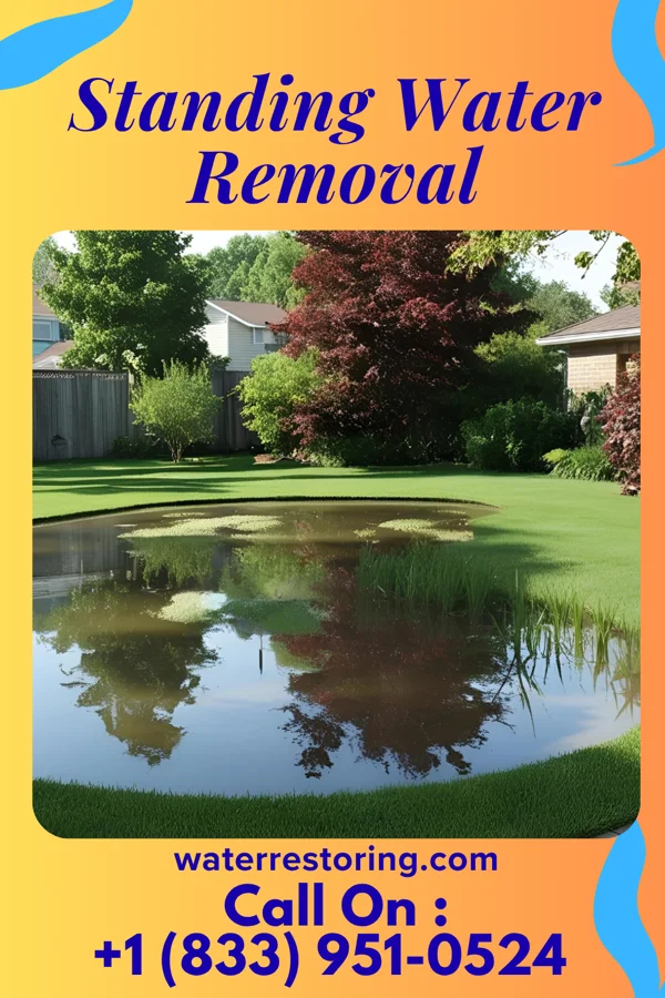Standing Water Removal in Hamlet, IN